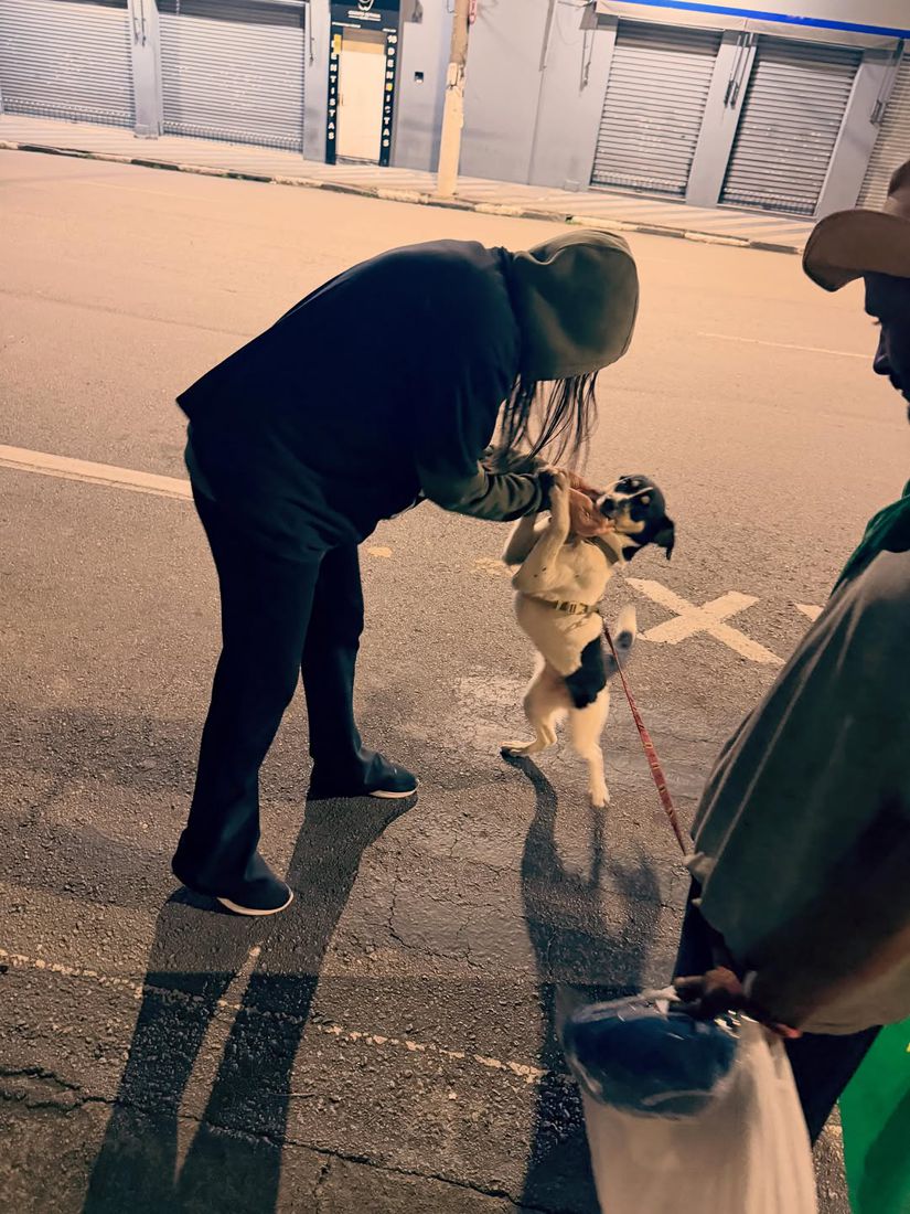 Voluntário cuidando de cachorro na rua durante ação noturna